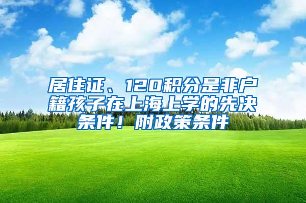 居住证、120积分是非户籍孩子在上海上学的先决条件！附政策条件