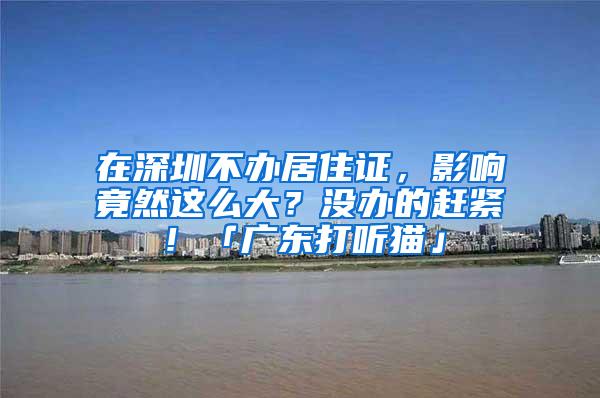 在深圳不办居住证，影响竟然这么大？没办的赶紧！「广东打听猫」