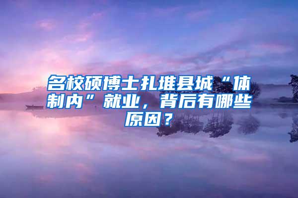 名校硕博士扎堆县城“体制内”就业，背后有哪些原因？