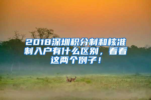 2018深圳积分制和核准制入户有什么区别，看看这两个例子！