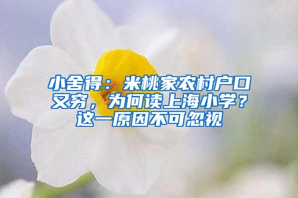 小舍得：米桃家农村户口又穷，为何读上海小学？这一原因不可忽视