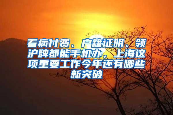 看病付费、户籍证明、领沪牌都能手机办，上海这项重要工作今年还有哪些新突破