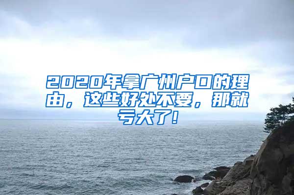 2020年拿广州户口的理由，这些好处不要，那就亏大了!