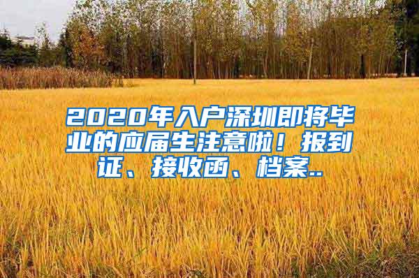 2020年入户深圳即将毕业的应届生注意啦！报到证、接收函、档案..