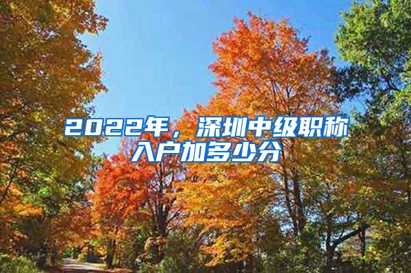 2022年，深圳中级职称入户加多少分