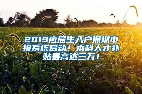 2019应届生入户深圳申报系统启动！本科人才补贴最高达三万！