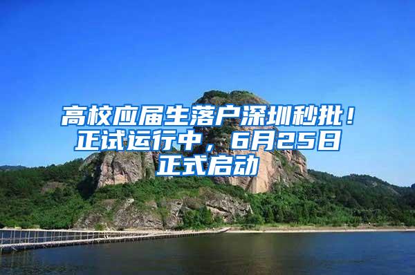 高校应届生落户深圳秒批！正试运行中，6月25日正式启动