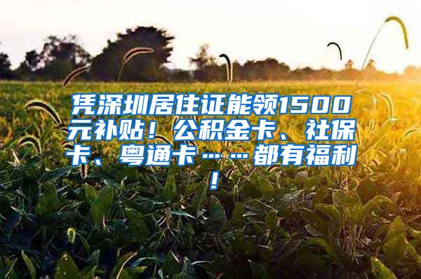 凭深圳居住证能领1500元补贴！公积金卡、社保卡、粤通卡……都有福利！