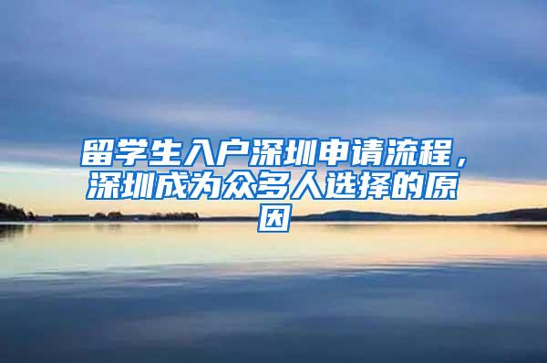 留学生入户深圳申请流程，深圳成为众多人选择的原因