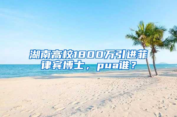 湖南高校1800万引进菲律宾博士，pua谁？