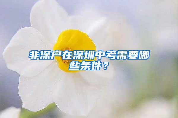 非深户在深圳中考需要哪些条件？