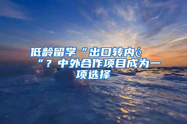 低龄留学“出口转内销“？中外合作项目成为一项选择