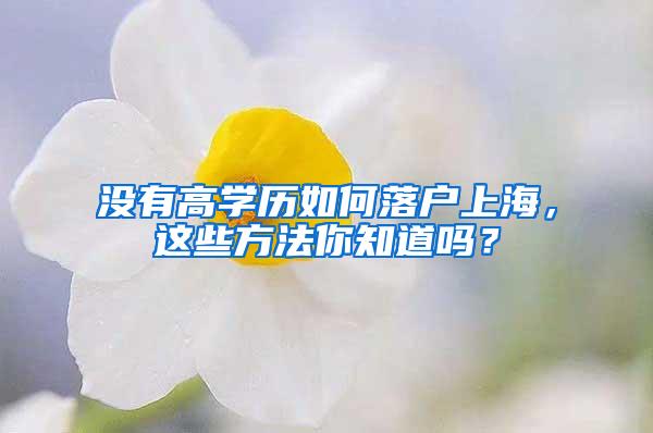 没有高学历如何落户上海，这些方法你知道吗？