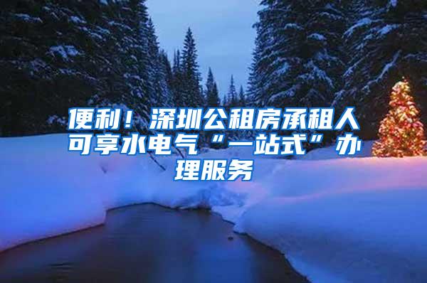 便利！深圳公租房承租人可享水电气“一站式”办理服务