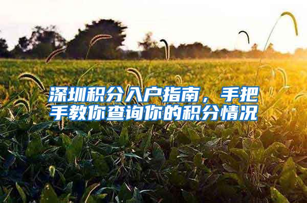 深圳积分入户指南，手把手教你查询你的积分情况