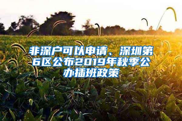 非深户可以申请、深圳第6区公布2019年秋季公办插班政策