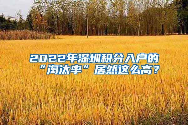 2022年深圳积分入户的“淘汰率”居然这么高？