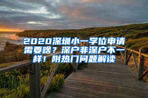 2020深圳小一学位申请需要啥？深户非深户不一样！附热门问题解读