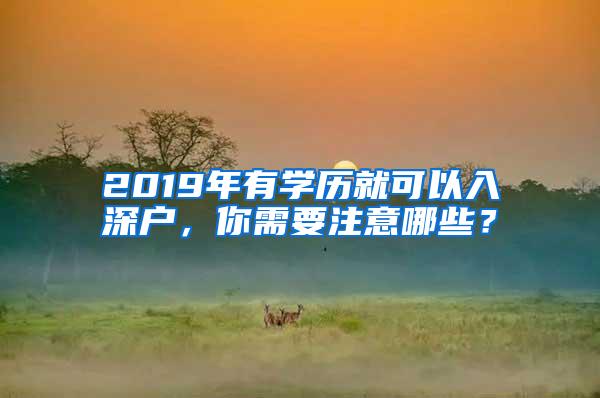 2019年有学历就可以入深户，你需要注意哪些？