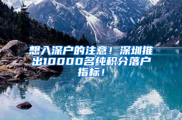 想入深户的注意！深圳推出10000名纯积分落户指标！