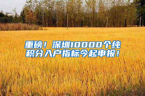 重磅！深圳10000个纯积分入户指标今起申报！