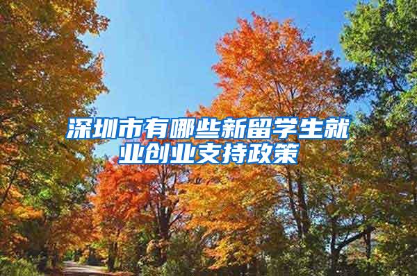 深圳市有哪些新留学生就业创业支持政策