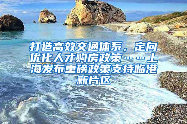 打造高效交通体系，定向优化人才购房政策……上海发布重磅政策支持临港新片区