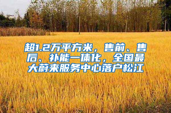 超1.2万平方米，售前、售后、补能一体化，全国最大蔚来服务中心落户松江