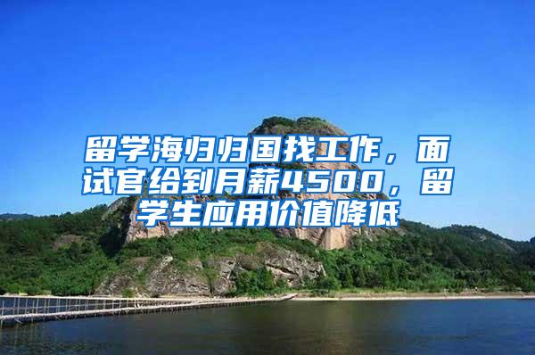 留学海归归国找工作，面试官给到月薪4500，留学生应用价值降低