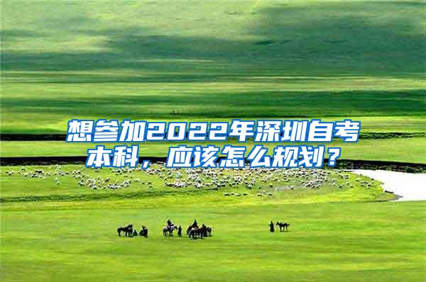 想参加2022年深圳自考本科，应该怎么规划？