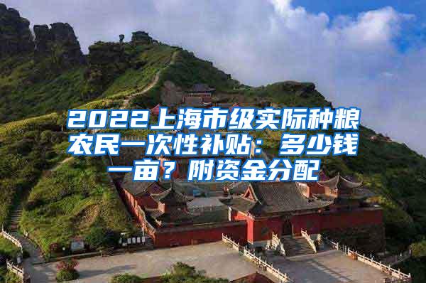 2022上海市级实际种粮农民一次性补贴：多少钱一亩？附资金分配