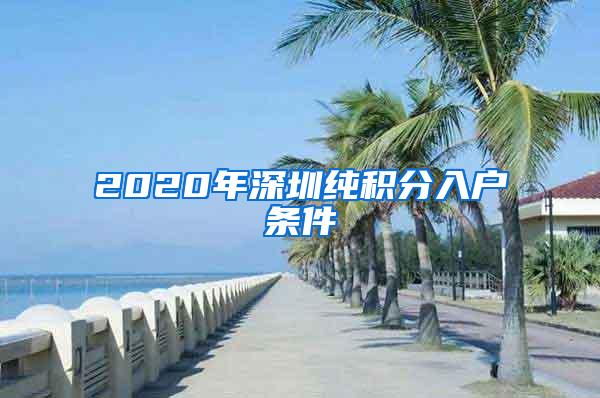 2020年深圳纯积分入户条件