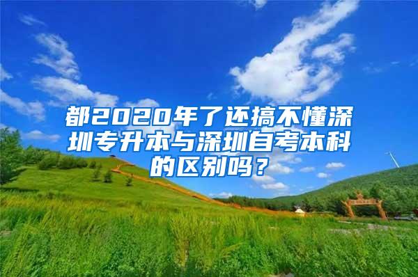 都2020年了还搞不懂深圳专升本与深圳自考本科的区别吗？