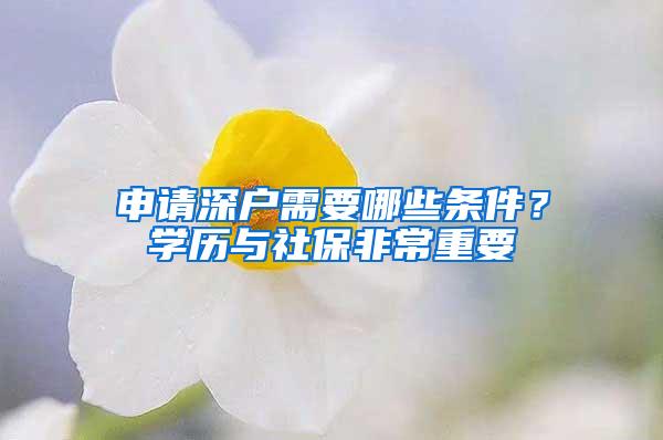 申请深户需要哪些条件？学历与社保非常重要