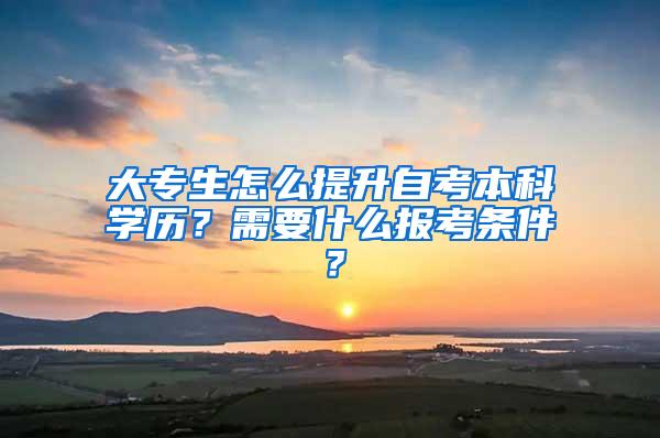 大专生怎么提升自考本科学历？需要什么报考条件？