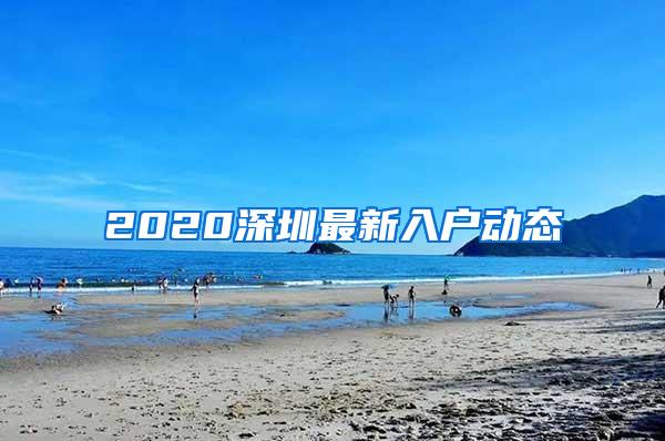 2020深圳最新入户动态