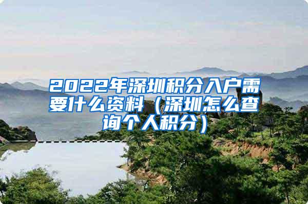 2022年深圳积分入户需要什么资料（深圳怎么查询个人积分）