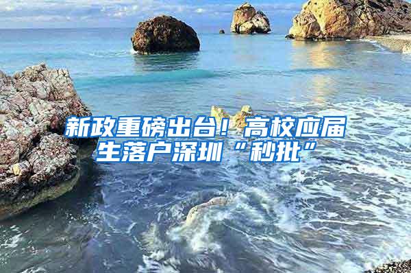 新政重磅出台！高校应届生落户深圳“秒批”