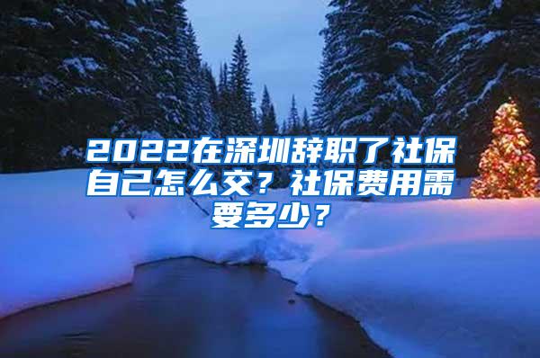 2022在深圳辞职了社保自己怎么交？社保费用需要多少？