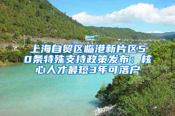 上海自贸区临港新片区50条特殊支持政策发布：核心人才最短3年可落户