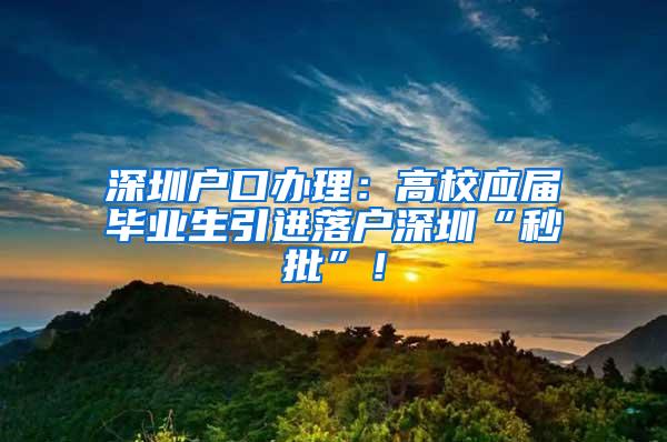 深圳户口办理：高校应届毕业生引进落户深圳“秒批”！