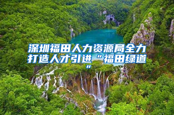 深圳福田人力资源局全力打造人才引进“福田绿道”