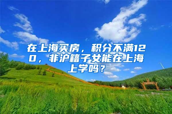 在上海买房，积分不满120，非沪籍子女能在上海上学吗？