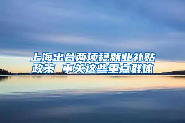 上海出台两项稳就业补贴政策 事关这些重点群体