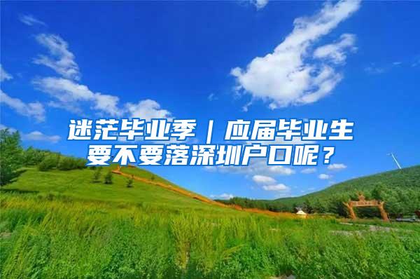 迷茫毕业季｜应届毕业生要不要落深圳户口呢？