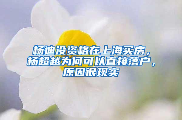 杨迪没资格在上海买房，杨超越为何可以直接落户，原因很现实