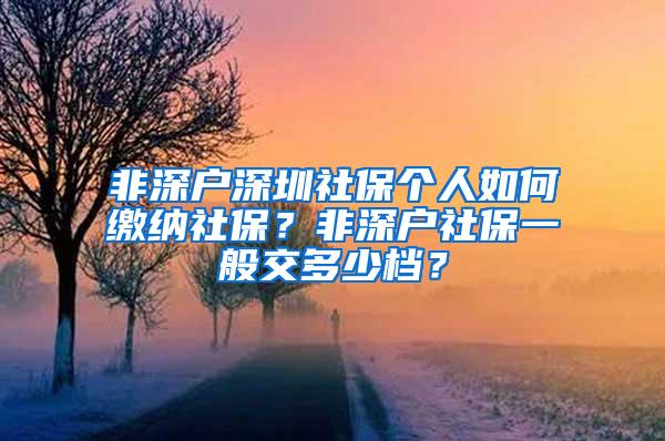 非深户深圳社保个人如何缴纳社保？非深户社保一般交多少档？