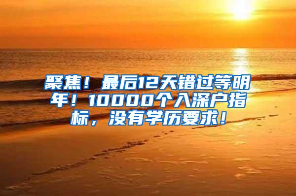 聚焦！最后12天错过等明年！10000个入深户指标，没有学历要求！