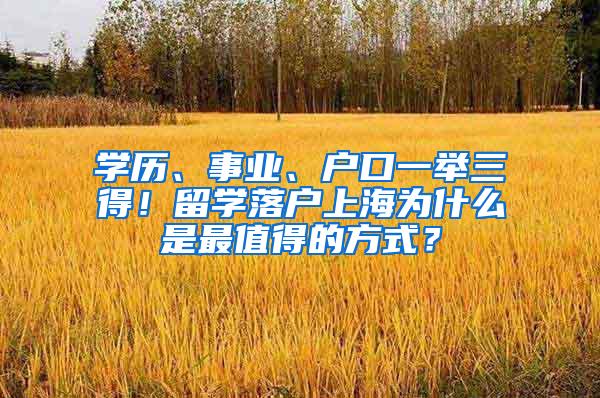 学历、事业、户口一举三得！留学落户上海为什么是最值得的方式？