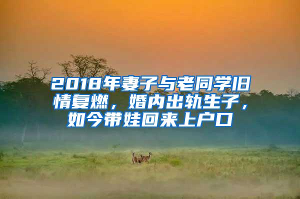 2018年妻子与老同学旧情复燃，婚内出轨生子，如今带娃回来上户口